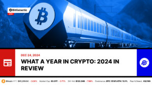 What a Year in Crypto_ 2024 in Review