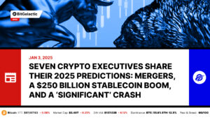 Seven Crypto Executives Share Their 2025 Predictions_ Mergers, a $250 Billion Stablecoin Boom, and a ‘Significant’ Crash